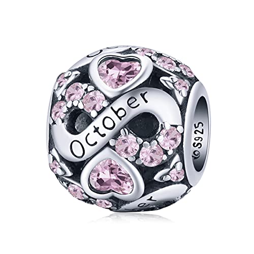 YOAME Oktober Geburtsstein Charm Bead für Damen 925 Sterling Silber zum Geburtstag Charm Anhänger für Armband und Halskette Perfektes Muttertagsgeschenk Mit Geschenkbox YOAME Oktober Geburtsstein Charm Bead für Damen 925 Sterling Silber zum Geburtstag Charm Anhänger für Armband und Halskette Perfektes Muttertagsgeschenk Mit Geschenkbox von YOAME