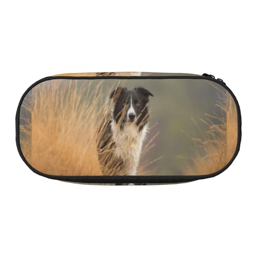 YOFIEN Border Collie Lawn Pets Schwarz-weißer Rand, kleines Federmäppchen, großes Fassungsvermögen, Federmäppchen, Büro-Schreibwaren-Organizer von YOFIEN