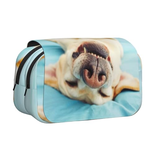 YOFIEN Federmäppchen mit schlafendem Labrador, tragbar, doppellagig, Schreibwaren-Organizer von YOFIEN