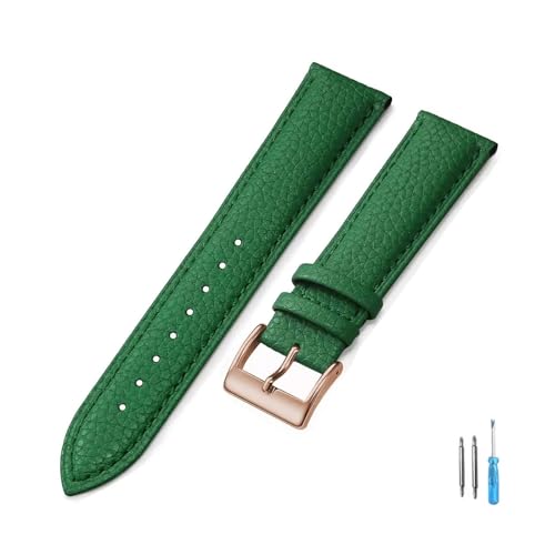 YONGNAGUI NASUNJIA Uhrenarmband aus echtem Leder, 18 mm, 20 mm, 22 mm, 24 mm, for Herren und Damen, hochwertiges Armband + Werkzeug(Green-RG,22mm) von YONGNAGUI