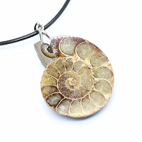 YOPI Halskette mit großem Schneckenanhänger aus Naturstein – bunt Gepunkteter Schneckenscheibenschmuck for Damen von YOPI