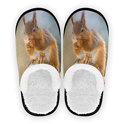 Damen Hausschuhe Tier Eichhörnchen Fuzzy Gemütliche Hausschuhe für Damen Herren Kinder Warm Bequem Indoor Schlafzimmer Haus Schuhe, mehrfarbig, Medium von YOUJUNER