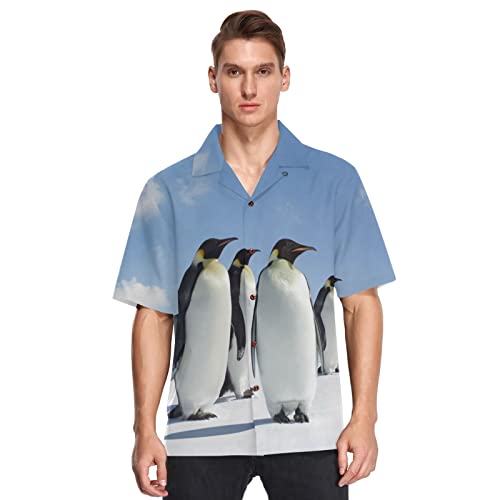 Herren Kurzarm Hawaiihemd Tier Pinguin Männer Casual Funky Hawaii Hemd Button Down Urlaub Hemd Reise Shirt Strand Beilaufig Freizeit Hemd von YOUJUNER