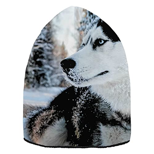 YOUJUNER Beanie-Mütze Husky-Hundedekor Winter Mütze für Herren und Damen, Warme Beanie Knit Cuffed Weiche Cuffed Hat Unisex-Mütze Watch Thermo Strickmütze Laufmützen Sportmütze von YOUJUNER