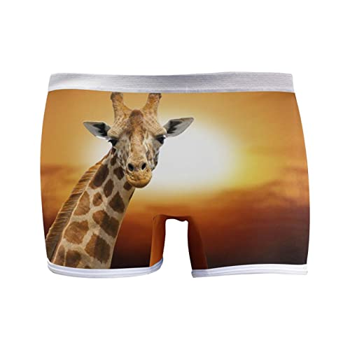 YOUJUNER Damen Panties Afrika-Tiergiraffe Shorts Hipsters Boxershorts Unterhosen Unterwäsche von YOUJUNER