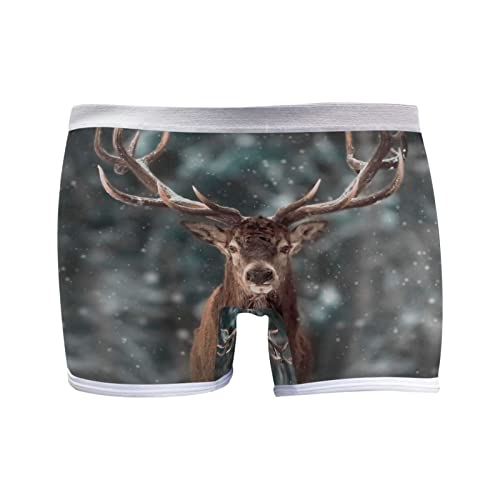 YOUJUNER Damen Panties Winter-Schnee-Hirsch Shorts Hipsters Boxershorts Unterhosen Unterwäsche von YOUJUNER