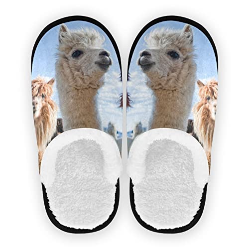 YOUJUNER Herren Damen Hausschuhe Süß Lama Lama Alpaka Slippers für Frauen Kinder Unisex Warme Pantoffeln Indoor Haus Schuhe Bequeme Schlafzimmer Schuhe von YOUJUNER