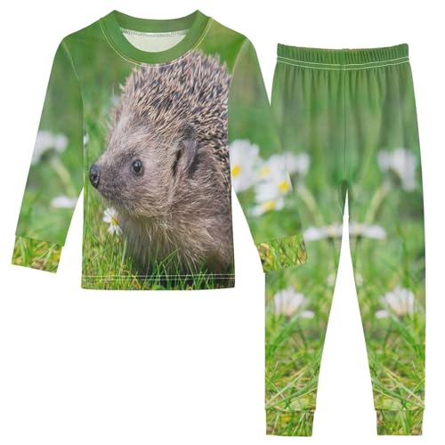 YOUJUNER Kinder Schlafanzug Set Süße Igel Baumwolle Pyjama Langarm Nachtwäsche Zweiteilig Schlafanzüge Set für Jungen Mädchen von YOUJUNER