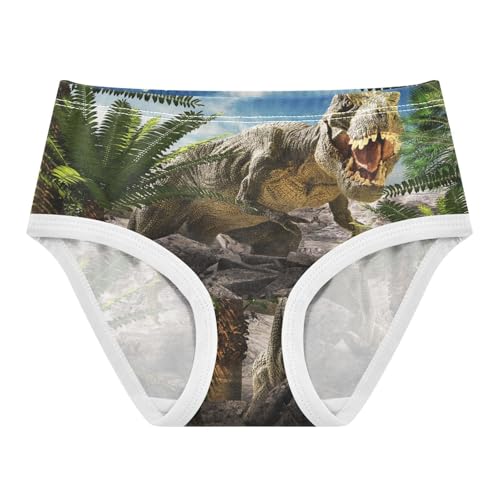 YOUJUNER Mädchen Unterhosen Dinosaurier Slips Baumwolle Unterhosen Höschen Bequeme Briefs für Kleine Mädschen Höschen 2-8 Jahre von YOUJUNER