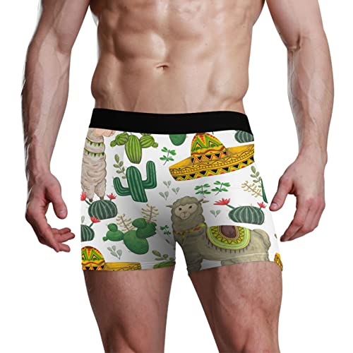 YOUJUNER Mexikanischer Lama-Kaktus Herren Boxershorts Unterwäsche Unterhosen Retroshorts Underpants Boxer Briefs Trunks für Men Männer von YOUJUNER