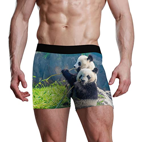 YOUJUNER Niedlicher Panda-Druck Herren Boxershorts Unterwäsche Unterhosen Retroshorts Underpants Boxer Briefs Trunks für Men Männer von YOUJUNER