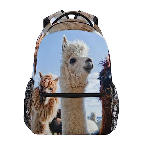 YOUJUNER Schulrucksack Süß Lama Lama Alpaka Jungen Mädchen Schultasche Bookbag Casual Rucksack Reise Rucksack Daypack von YOUJUNER