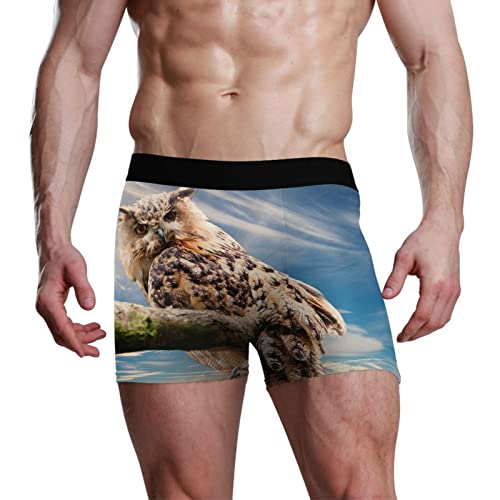 YOUJUNER Süße Eule Herren Boxershorts Unterwäsche Unterhosen Retroshorts Underpants Boxer Briefs Trunks für Men Männer von YOUJUNER