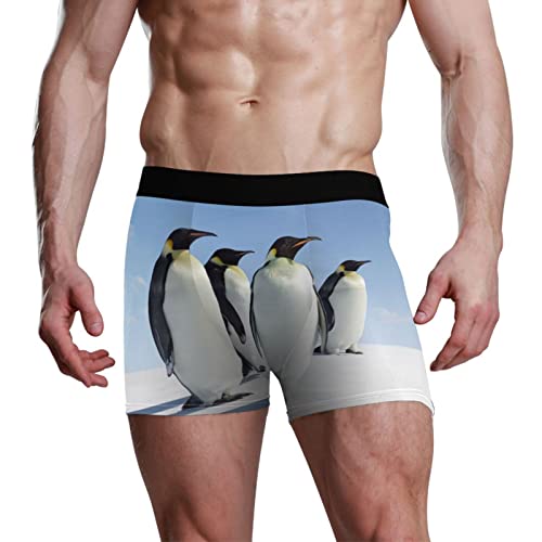 YOUJUNER Tier Pinguin Herren Boxershorts Unterwäsche Unterhosen Retroshorts Underpants Boxer Briefs Trunks für Men Männer von YOUJUNER