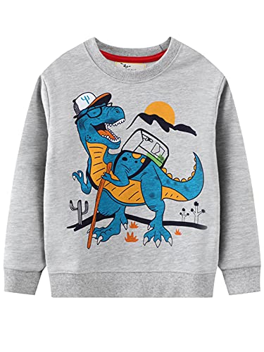 YOUNGSOUL Jungen Sweatshirt Dinosaurier Kinder Pullover Baumwolle Langarm Shirt Baby Oberbekleidung Grau 1104-110/Größe 5T von YOUNGSOUL
