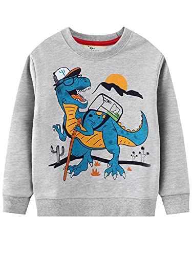 YOUNGSOUL Jungen Sweatshirt Dinosaurier Kinder Pullover Baumwolle Langarm Shirt Baby Oberbekleidung Grau 1110-116/Größe 6T von YOUNGSOUL