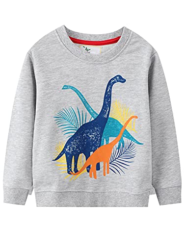 YOUNGSOUL Jungen Sweatshirt Dinosaurier Kinder Pullover Baumwolle Langarm Shirt Baby Oberbekleidung Grau 3104-110/Größe 5T von YOUNGSOUL