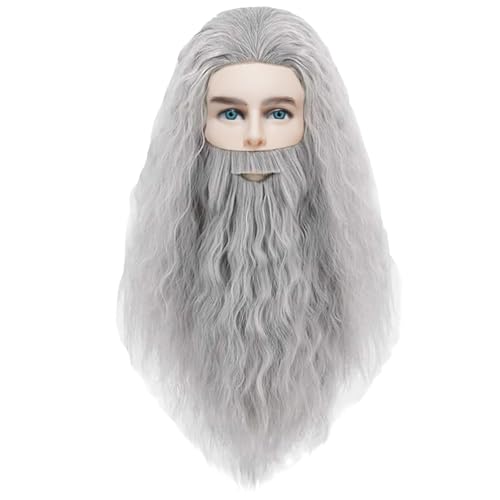 YOUYIKE Zauberer PerüCke Herren Magier Prophet Lang PerüCke & Bart für Halloween Karneval Cosplay Wig (Grau) von YOUYIKE