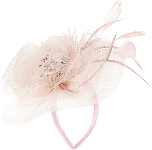 Mesh-Fascinator for Damen, Federn-Teeparty-Hut, Schleier-Stirnband mit Haarspange, Haar-Accessoire, Fasinators-Stirnband (Color : Pink, Size : One Size) von YPOSPDD