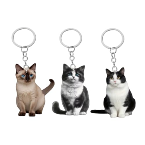 3 PCS Schlüsselanhänger Katze, Katzen Schlüsselanhänger für Liebhaber, Autos und Geschenke, Geschenke für Liebhaber, 10 cm 3 PCS Schlüsselanhänger Katze, Katzen Schlüsselanhänger für Liebhaber, Autos und Geschenke, Geschenke für Liebhaber, 10 cm von YQYCE