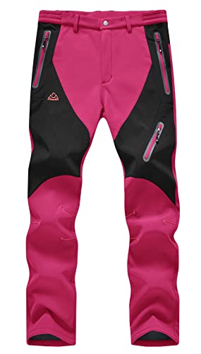 YSENTO Damen Skihose Outdoor Wanderhose Stretch Fleece Gefüttert Arbeitshose Verdickte Snowhose Trekkinghose(Rose,L) von YSENTO