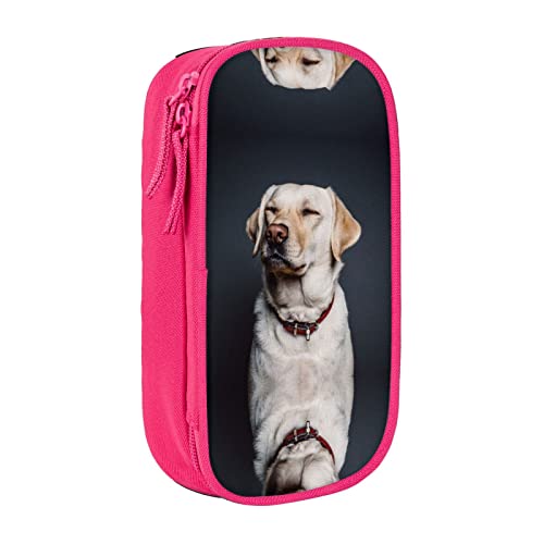 YTORA Federmäppchen mit niedlichem Labrador-Motiv, großes Fassungsvermögen, Stifttasche, langlebig, 3 Fächer, rose, Einheitsgröße, Taschen-Organizer von YTORA