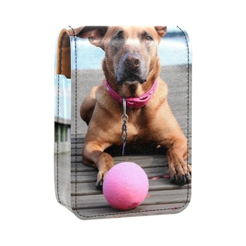 Reise Lippenstift Organizer Etui,Lippenstift Etui,tragbare Make up Tasche mit Spiegel,Herbst brauner Hundeball Reise Lippenstift Organizer Etui,Lippenstift Etui,tragbare Make up Tasche mit Spiegel,Herbst brauner Hundeball von YTYVAGT