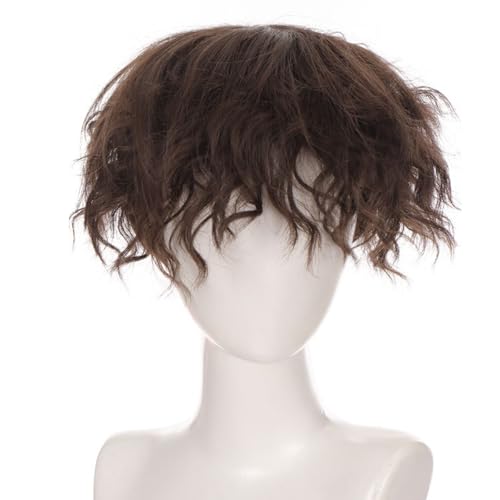 Einzigartige Anime Haarstück Lockiges Haar Voller Für Halloween Wear Zeigen Kleine Gesichtsanpassungsfarbhaar Perücken Einzigartige Anime Haarstück Lockiges Haar Voller Für Halloween Wear Zeigen Kleine Gesichtsanpassungsfarbhaar Perücken von YUGSHNKFC