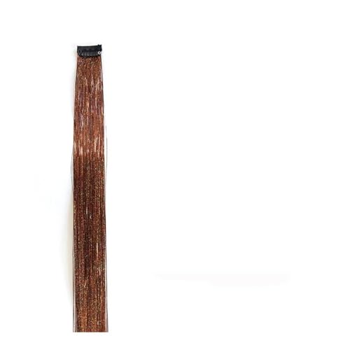 2PCS lange gerade Regenbogen Clip in Haarverlängerungen glänzende synthetische Haarteile Perücken Halloween Cosplay Party Mädchen Haar Easy Installation and Removal(Brown) von YUHANXINHESHE