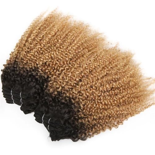 8-12inch Human Hair Bundles, Jerry Curly 6 Bundles Human Hair Unprocessed Brazilian Virgin Quick Weave Hair for Black Women Easy Installation and Removal(Ombre dark blonde,10 inch) von YUHANXINHESHE