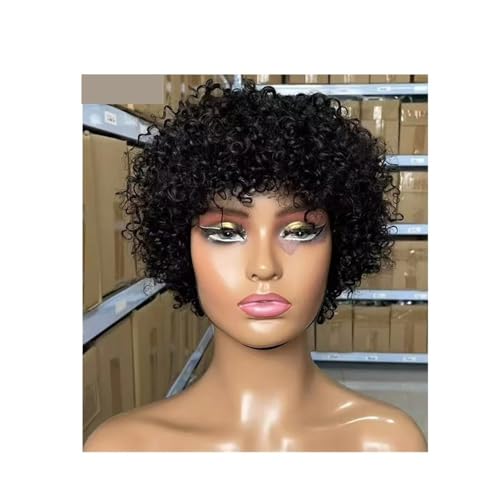 8 Zoll kurze verworrene lockige Echthaarperücken for schwarze Frauen, kurze afroamerikanische Perücke Fügt Haarvolumen hinzu von YUHANXINHESHE