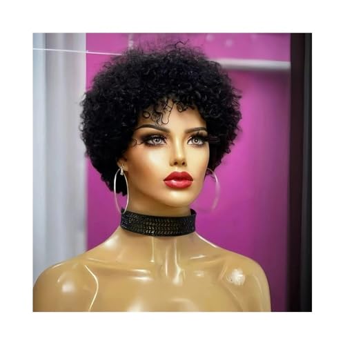 Natürliche schwarze Afro-Perücken mit verworrenem, lockigem, kurzem Echthaar, klebefreie Perücken aus brasilianischem Echthaar for schwarze Frauen Fügt Haarvolumen hinzu(10inch) von YUHANXINHESHE