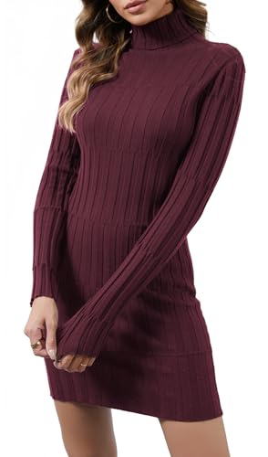 YUTILA Damen Strickkleid mit Stehkragen – Figurbetontes Kleid mit Rippstruktur, Langarm, Warmes Basiskleid für Herbst & Winter YUTILA Damen Strickkleid mit Stehkragen – Figurbetontes Kleid mit Rippstruktur, Langarm, Warmes Basiskleid für Herbst & Winter von YUTILA
