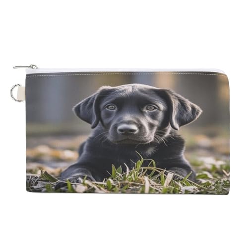 Bichon Frise at Home Münzgeldbörse mit Reißverschluss, Segeltuch, Kleingeldgeldbörse, tragbare Münztasche für Männer und Frauen, kleine Kosmetiktasche, Labrador-Welpe, Einheitsgröße, Kleine Bichon Frise at Home Münzgeldbörse mit Reißverschluss, Segeltuch, Kleingeldgeldbörse, tragbare Münztasche für Männer und Frauen, kleine Kosmetiktasche, Labrador-Welpe, Einheitsgröße, Kleine von YUXBVKRS