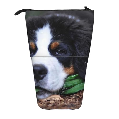 YXDVPALNE Schöner Berner Sennenhund, Teleskop-Federmäppchen, Ständer-Federmäppchen mit Reißverschluss-Stiftetasche von YXDVPALNE