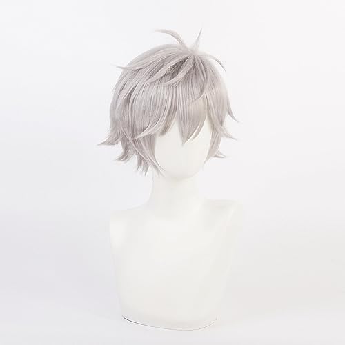 YXZCOS Perücke 【EVA: Kaworu Nagisa】 Cosplay Perücke Halloween Perücken Fasching Damen-/Herrenperücke Karneval Wig von YXZCOS