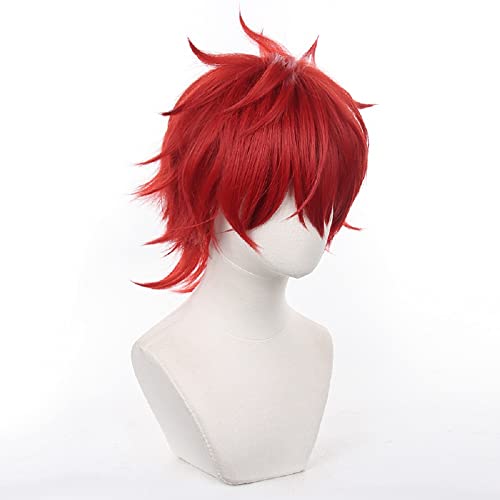 YXZCOS Perücke 【Ensemble Stars: Rinne Amagi】 Cosplay Perücke Halloween Perücken Fasching Damen-/Herrenperücke Karneval Wig von YXZCOS