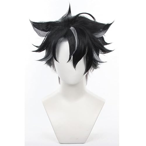 YXZCOS Perücke 【Genshin Impact: Wriothesley】 Cosplay Perücke Halloween Perücken Fasching Damen-/Herrenperücke Karneval Wig von YXZCOS