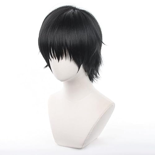 YXZCOS Perücke 【Jujutsu Kaisen: Fushiguro Toji】 Cosplay Perücke Halloween Perücken Fasching Damen-/Herrenperücke Karneval Wig von YXZCOS