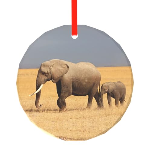 YZHYWJFF Afrikanischer Elefant bedruckter runder Glasanhänger Weihnachtsbaumschmuck von YZHYWJFF