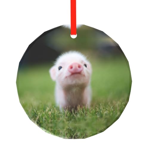 YZHYWJFF Baby Pig Bedruckter runder Glasanhänger Weihnachtsbaumschmuck von YZHYWJFF