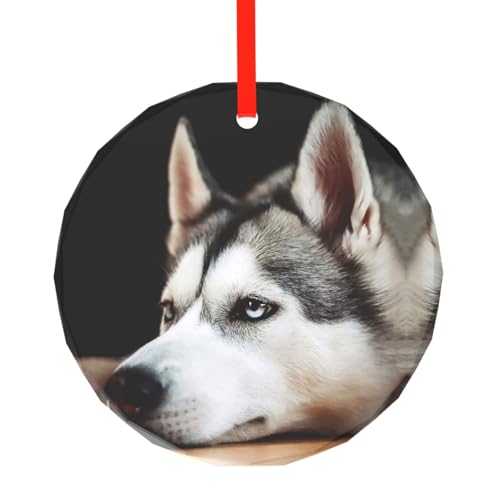 YZHYWJFF Husky Dog Bedruckter runder Glasanhänger Weihnachtsbaumschmuck von YZHYWJFF
