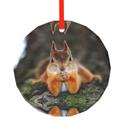 YZHYWJFF Lustiger Eichhörnchen bedruckter runder Glasanhänger Weihnachtsbaumschmuck von YZHYWJFF