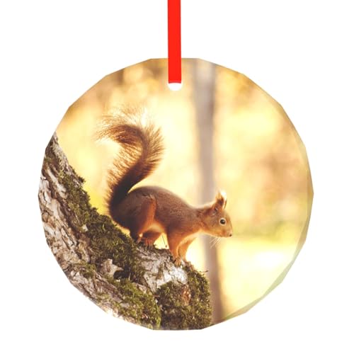 YZHYWJFF Lustiger Eichhörnchen bedruckter runder Glasanhänger Weihnachtsbaumschmuck von YZHYWJFF