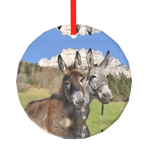 YZHYWJFF Lustiger Esel bedruckter runder Glasanhänger Weihnachtsbaumschmuck von YZHYWJFF