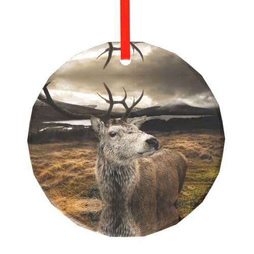 YZHYWJFF Lustiger Hirsch bedruckter runder Glasanhänger Weihnachtsbaumschmuck von YZHYWJFF