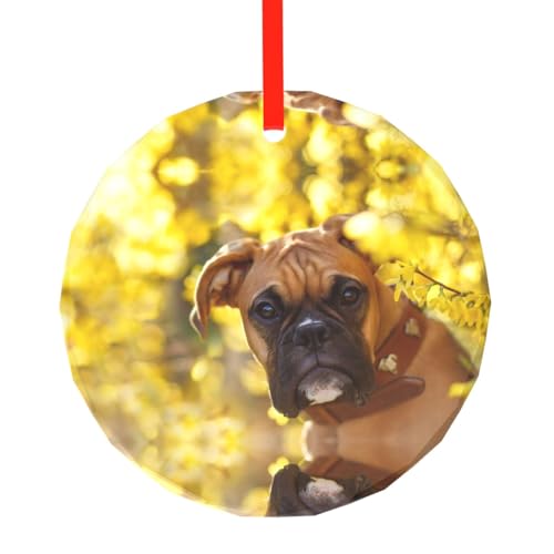 YZHYWJFF Süßer Hund bedruckter runder Glasanhänger Weihnachtsbaumschmuck von YZHYWJFF