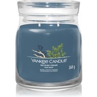 Yankee Candle Bayside Cedar Duftkerze von Yankee Candle