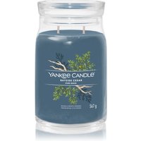 Yankee Candle Bayside Cedar Duftkerze von Yankee Candle