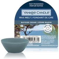 Yankee Candle Bayside Cedar Wax Melt Single Duftkerze von Yankee Candle